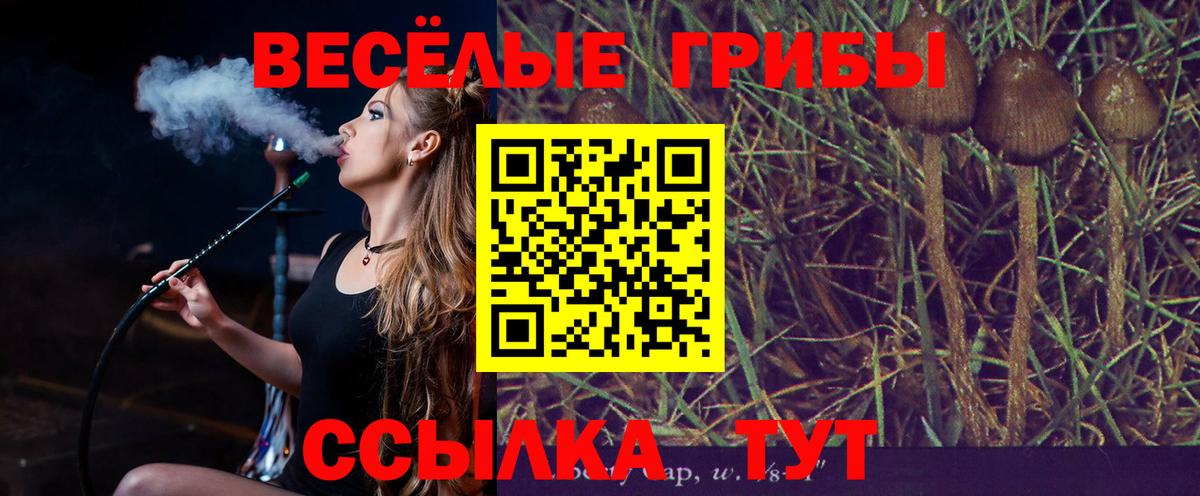 купить наркотики цена  Псилоцибиновые грибы Magic Shrooms  Псилоцибиновые грибы MAGIC MUSHROOMS  Вход с VPN  Бузулук 